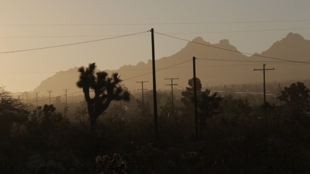 Johnny Hostile - © Pop Noire